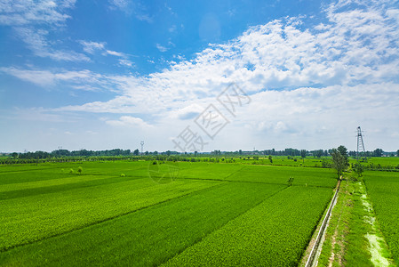 蓝天白云农田农田全景风光背景