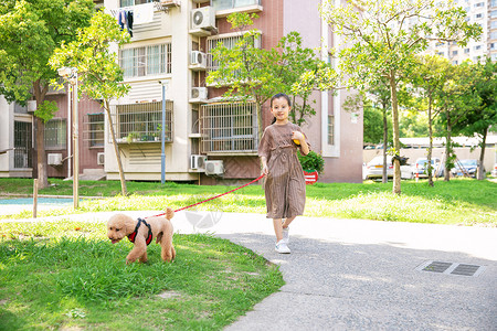 宠物社区小女孩户外遛狗背景