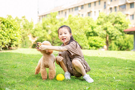 小女孩户外遛狗和狗玩耍背景图片