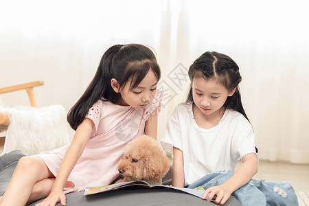 和孩子一起看书小女孩们和狗狗一起看书背景