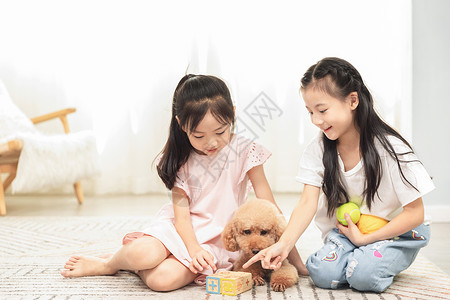 小女孩们居家和狗玩耍背景图片