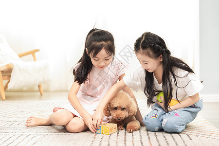 小女孩们居家和狗玩耍背景图片
