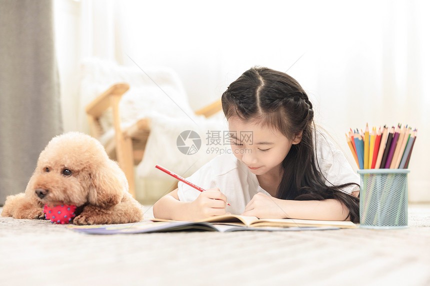 狗狗陪伴小女孩做作业图片