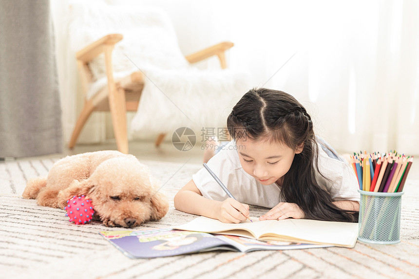 狗狗陪伴小女孩做作业图片