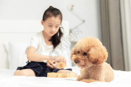居家小女孩和狗狗玩耍图片