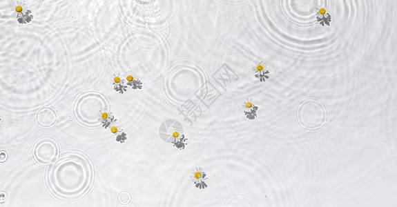 电脑花瓣印刷夏日水波纹背景素材背景