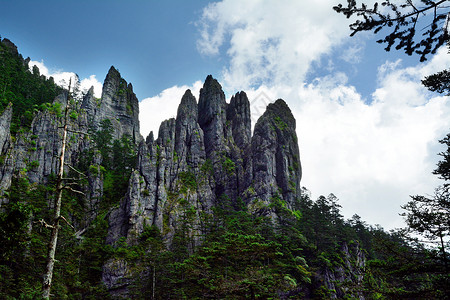 神农谷神农架风光背景