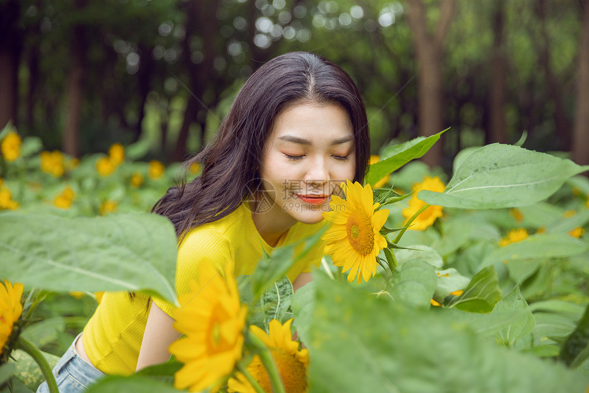 向日葵中的少女图片