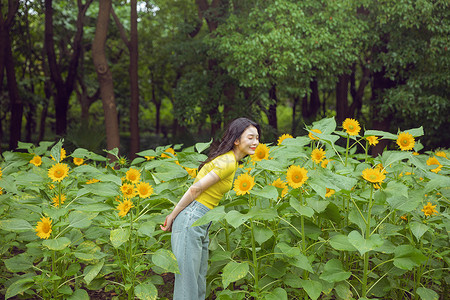 向日葵中的少女图片