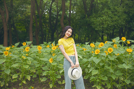 向日葵中的少女图片