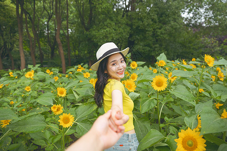 向日葵中牵手的少女图片