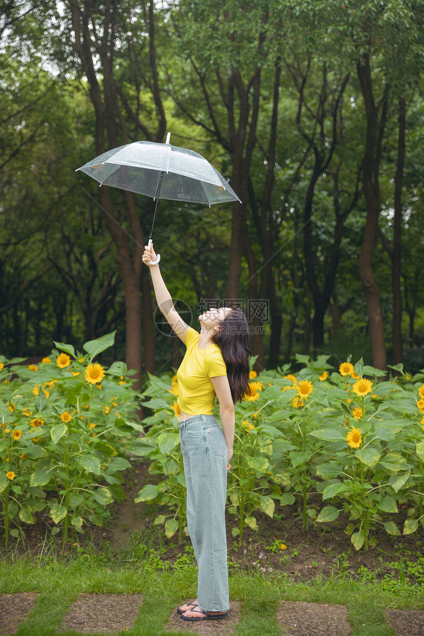 向日葵中撑伞漫步的少女图片