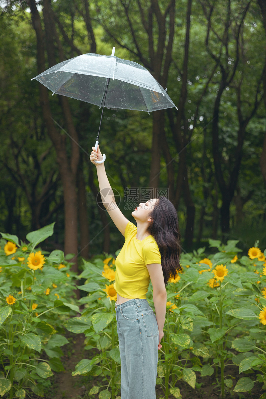 向日葵中撑伞漫步的少女图片