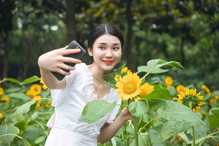 向日葵中自拍的少女图片