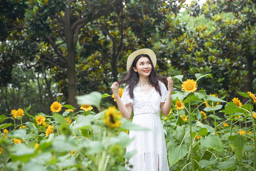 向日葵中的少女图片