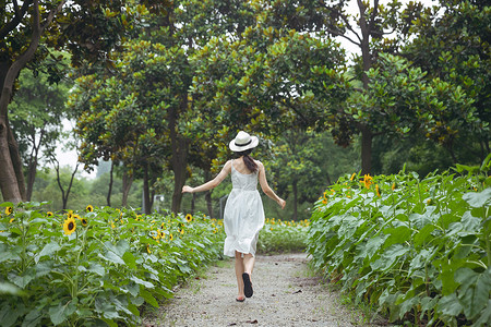 小向日葵向日葵中奔跑的少女背景