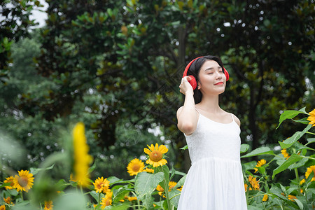 花中少女向日葵中听音乐机的少女背景