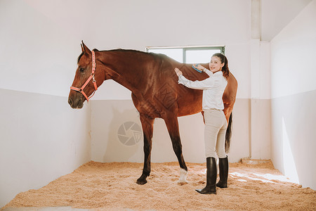 青年女性马棚刷马高清图片
