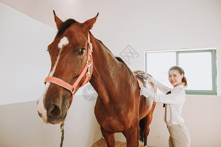 青年女性马棚刷马图片