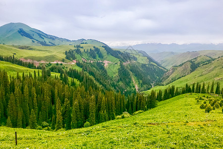 新疆喀拉峻草原风光背景图片