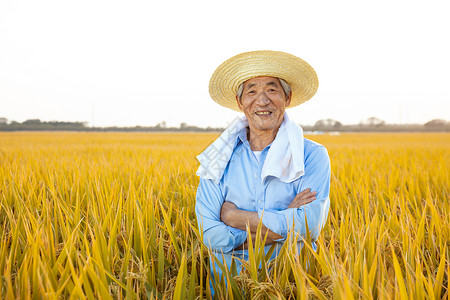 秋季丰收农民在稻田中休息图片