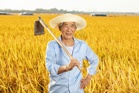 农民伯伯拿锄头在稻田里歇息背景图片