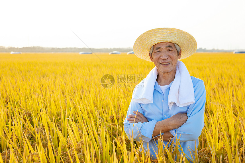 秋季丰收农民在稻田中休息图片