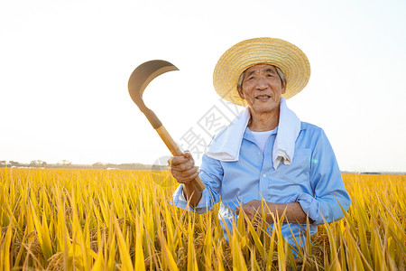 农民伯伯拿镰刀丰收水稻高清图片