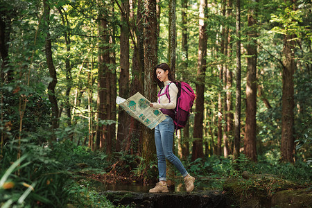 青年女性森林里看地图背景图片