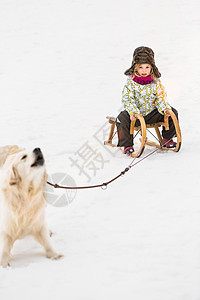 雪中狗拉雪橇图片