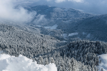 榄仁树德国拜仁冷格里斯冰雪覆盖的山丘和森林俯视图背景