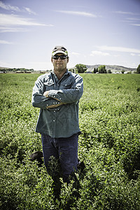美国蒙大拿州比林斯田野里的成熟男人高清图片