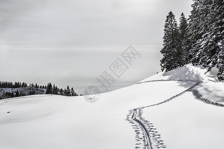 德国斯皮津西雪山上的铁轨视图图片