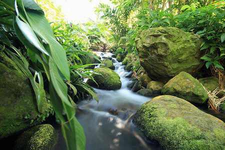 河流和岩石的近景，德海，瓜德罗普，加勒比海背景