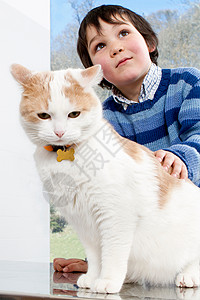 男孩爱抚他的猫背景图片