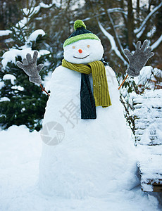 戴帽子戴手套的雪人图片