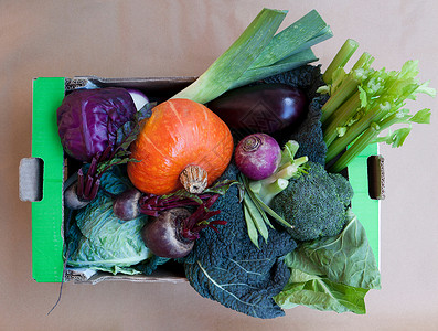 芹菜卷心菜一箱蔬菜背景