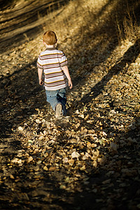 走在树叶里的小男孩图片