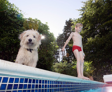 带着狗的男孩要跳进游泳池图片