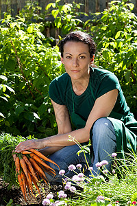 园子里的女人摘胡萝卜背景图片