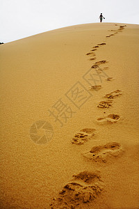 沙丘的脚步遥远的足迹高清图片