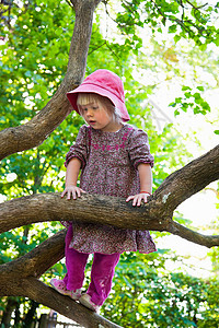 女孩爬树图片