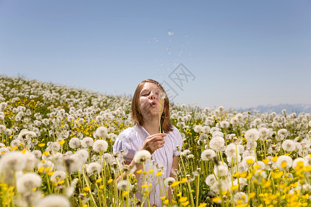 晶盈至美在草地上吹蒲公英种子的女孩背景