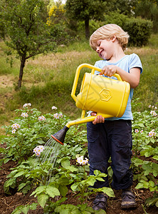 浇水的男孩男孩浇灌植物背景