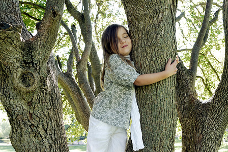 站在树上的5岁女孩图片