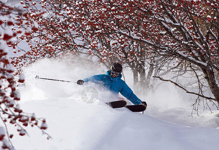 雪域越野滑雪者图片