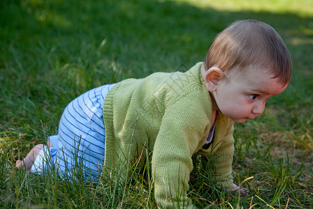 小男孩在草地上爬行图片
