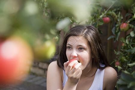 果园吃苹果成熟的吃苹果高清图片