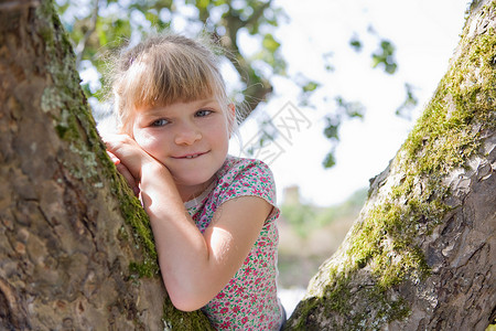 坐在树上的小女孩图片