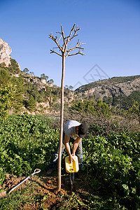 小兔子种树西班牙农场植树背景